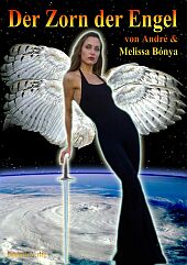 Dies ist das Cover des Buches Der Zorn der Engel, erschienen im Bohmeier Verlag.