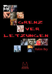 Dies ist das Cover des Buches Grenzverletzungen, erschienen im Bohmeier Verlag.